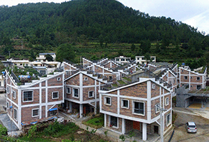 Сочетание города и деревни: в Китае построили жилой комплекс с фермами на крыше