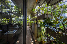 Urban Farming Office. Зеленая архитектура. Изображение © Hiroyuki Oki