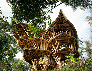 Бамбуковый ажурный дом в джунглях - пример устойчивой архитектуры на Бали/// ОСОБАЯ АРХИТЕКТУРА