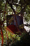 Tree Snake House.   Ricardo Oliveira Alves