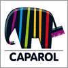 Декоративные покрытия с широким спектром действия Capadecor от Caparol