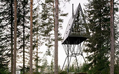 PAN Treetop Cabins - архитектура для созерцания природы