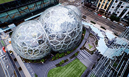 Amazon Spheres в Сиэтле. Фото: nbbj.com