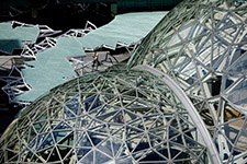 Amazon Spheres в Сиэтле. Фото: dezeen.com