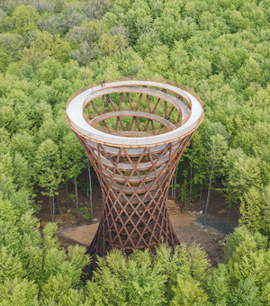 Camp Adventure Forest Tower - высотная смотровая площадка без единой ступени