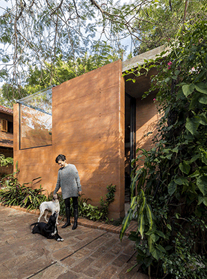 Earthbox - парагвайские архитекторы создали мини-офис своей мечты из экологичных материалов